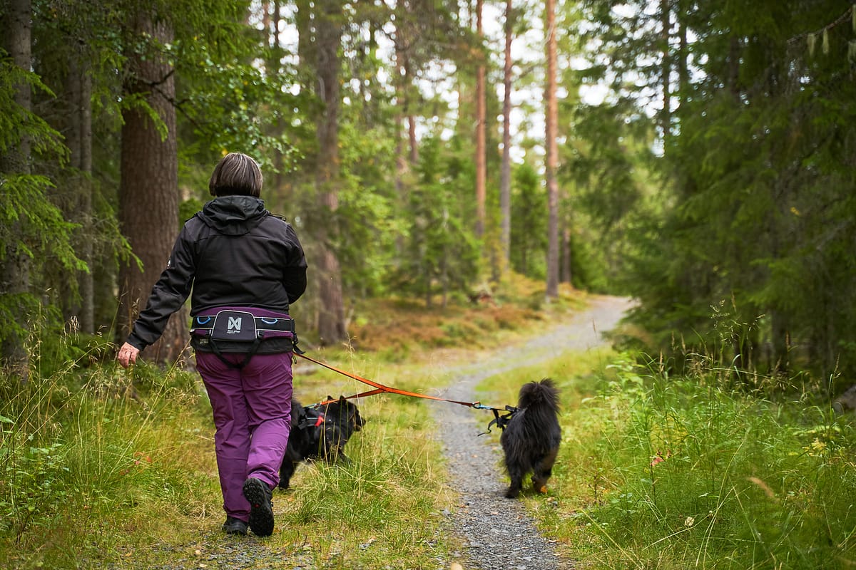 Trekking belt